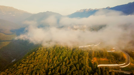 Similar image 21231519