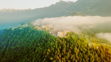 Similar image 21231524