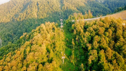 Similar image 21231812