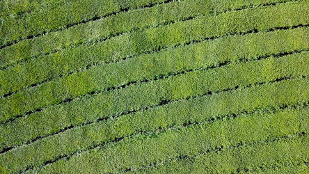 Similar image 21232028