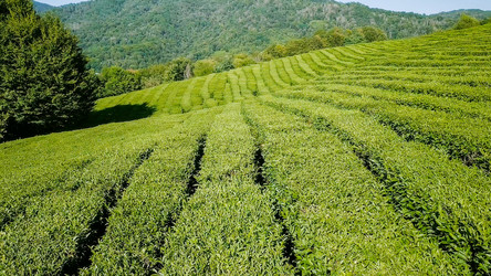 Similar image 21232032