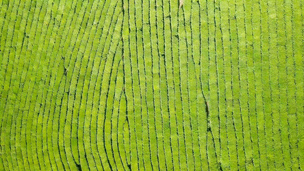 Similar image 21232034