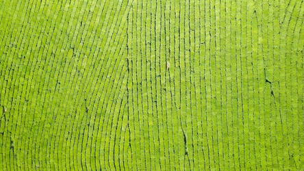 Similar image 21232039