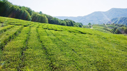 Similar image 21232041