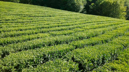 Similar image 21232044