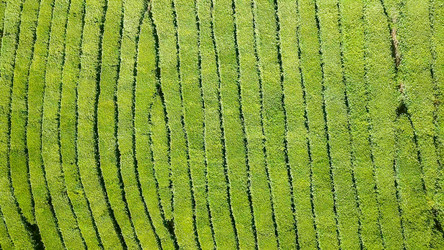 Similar image 21220093