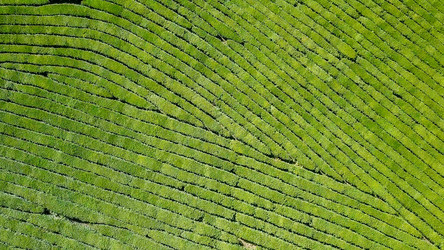 Similar image 21220097