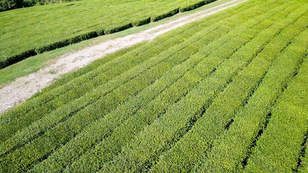 Similar image 21220100