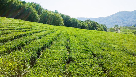 Similar image 21220101