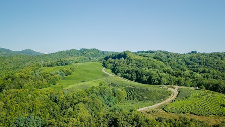 Similar image 21220105