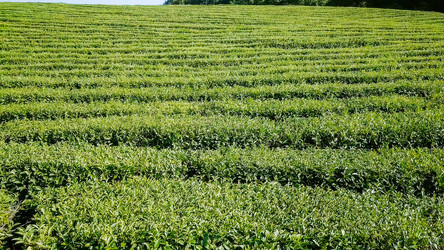 Similar image 21220106