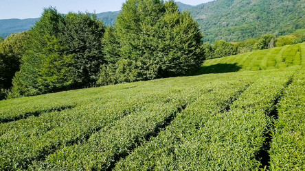 Similar image 21220107