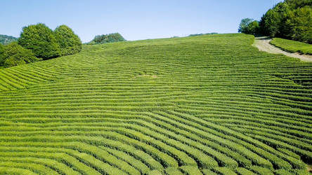 Similar image 21220109