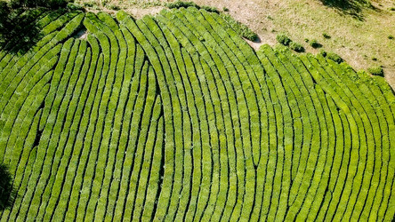 Similar image 21220110