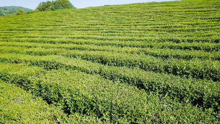 Similar image 21220111