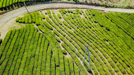 Similar image 21220114