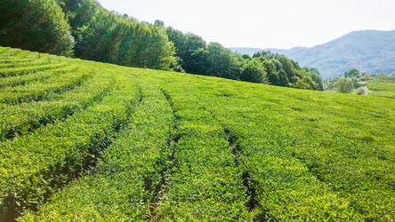 Similar image 21220115