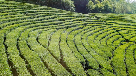 Similar image 21220116