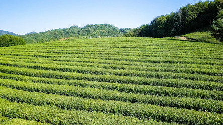 Similar image 21220117