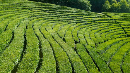 Similar image 21220118