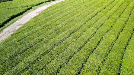 Similar image 21220119