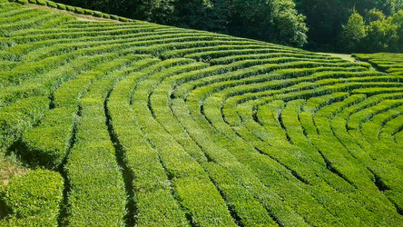 Similar image 21220120