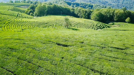 Similar image 21220153