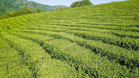 Similar image 21220154