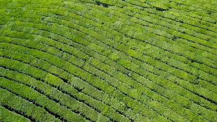 Similar image 21220155