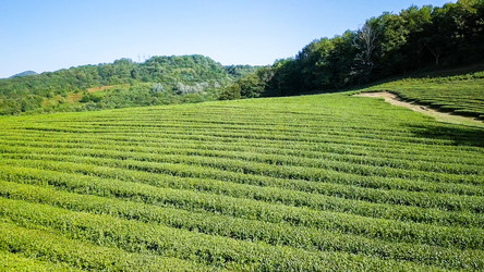 Similar image 21220156