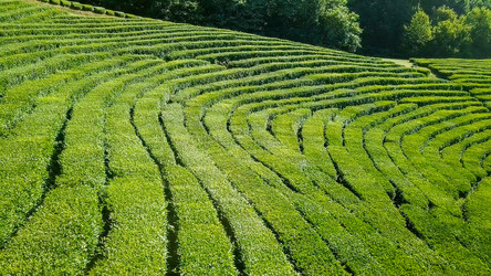 Similar image 21220157