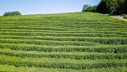 Similar image 21220158