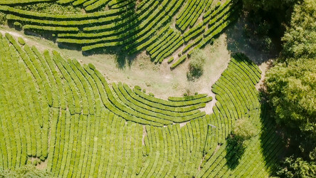 Similar image 21220159