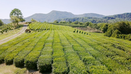 Similar image 21220160