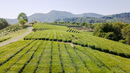 Similar image 21220162