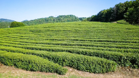 Similar image 21220164