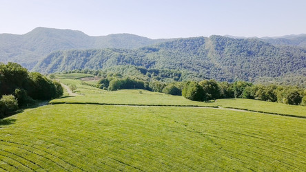 Similar image 21220165