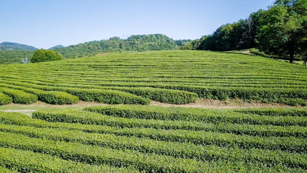 Similar image 21220166