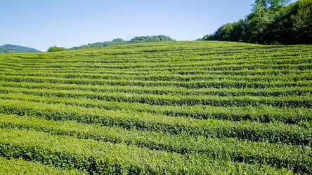 Similar image 21220167