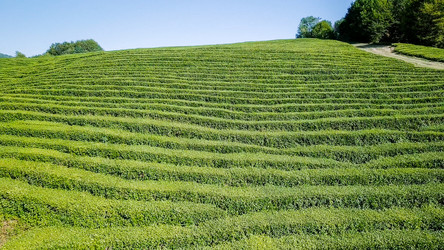 Similar image 21220169