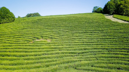 Similar image 21220171