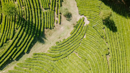 Similar image 21220203