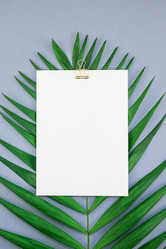 Similar image 21230304