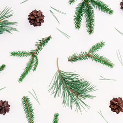 Similar image 21230306