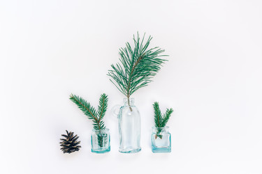 Similar image 21230473