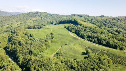 Similar image 21231527