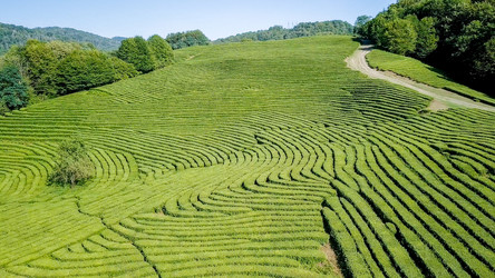 Similar image 21231528