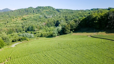 Similar image 21231529