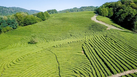 Similar image 21231531