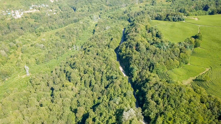 Similar image 21231534